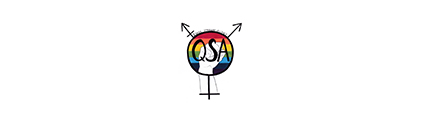 Logo QSA